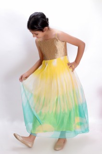 Kota Floor Length Dress